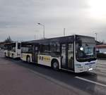 Omnibusunternehmen MAN Lions City mit Göppel Midi Train Anhänger am 03.03.17 in Langenselbold
