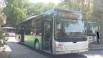 Hier ist der RA UL 318 von Lauk Reisen auf der Buslinie 42 zum Gottesauer Platz unterwegs.