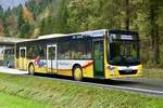 MAN Lions City vom Grindelwald Bus 'BE 525 871' am 2.11.19 unterwegs als Bahnersatz von Zweilütschinen Richtung Interlaken Ost.