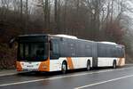 MAN Lion's City G  Rhein-Neckar-Bus , Wilhelmsfeld Dezember 2021