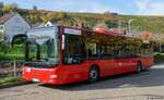 Friedrich Müller Omnibusunternehmen (FMO) aus Schwäbisch Hall | SHA-F 5004 | MAN Lion`s City | 25.10.2020 in Besigheim