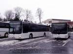 die beiden aktuell neuen Olbernhauer Busse nebeneinander.
