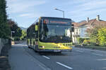MAN Lion's City (DO-664DH) als Linie 431 in Rankweil, Stiegstra�e.