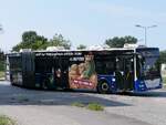 MAN Lion's City der Rostocker Stra�enbahn AG in Rostock am 03.08.2024
