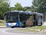 MAN Lion's City der Rostocker Stra�enbahn AG in Rostock am 03.08.2024