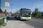 MAN Lion's City von Albus (Bus L 1726, S-833WK) als Schienenersatzverkehr f�r die Salzburger Lokalbahn, Linie E1, in Salzburg-Hagenau.