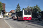  MAN Lion's City von Albus (Bus L 8818, S-8217WR) als Schienenersatzverkehr f�r die Salzburger Lokalbahn bei der Hst.