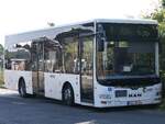 MAN Lion's City/Caetano der VVR in Sassnitz am 22.09.2024