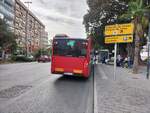 MAN Lion's City 19C, Wagen 841, Baujahr 2023, Firma Masatusa, bedient die Haltestelle Estación Salamanca in Alicante am 31.10.2023.