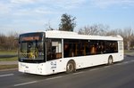 Serbien / Stadtbus Belgrad / City Bus Beograd: MAZ-203 (Minski Awtomobilny Sawod) der  Grupa privatni autoprevoznici , aufgenommen im Januar 2016 in der Nähe der Haltestelle  Bulevar Nikole