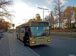 Berlin, S Wannsee am 03.11.2013 - Der einzige O405N der Firma Berlin City Tour auf dem Stadtbahn SEV.