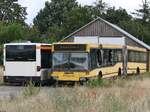 Mercedes Citaro I (ex VVR, exex moBiel GmbH) und Mercedes O 405 GN2 (ex Dahmetal, exex Dresdner Verkehrsbetriebe (DVB)) in Goldenst�dt am 04.08.2024