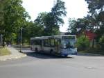 Mercedes-Benz O 405 N (Niederflur-Stadtversion) auf der Linie 663 nach Dallgow-Dberitz Havelpark an der Haltestelle Elstal Unter den Kiefern.