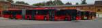 Eine Reihe ORN-Busse: MAN Lions City GÜ, MB Citaro GÜ, MAN Lions City und MB Intouro).