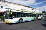 Stadtbus Mainz: Mercedes-Benz Citaro G von Autobus Sippel GmbH, aufgenommen im Juli 2016 in Mainz-Bretzenheim.