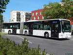 Mercedes Citaro I der Beelitzer Verkehrs- und Servicegesellschaft mbH in Potsdam am 07.06.2016