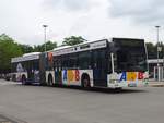 Mercedes Citaro II von Aktivbus Flensburg in Flensburg am 15.07.2014