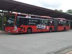 Mercedes Citaro II von Aktivbus Flensburg in Flensburg am 15.07.2014