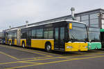 Für Tramersatz Dienste mieten die Basler Verkehrsbetriebe mehrere ältere Citaros.