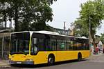 BVG Wagen 1311 auf Linie 396 nach U Friedrichsfelde - Berlin, S Karlshorst, Stolzenfelsstraße - am 12.06.2016 - Werbung: ohne