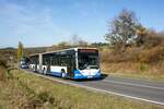 Bus Rheinland-Pfalz: Mercedes-Benz Citaro G (KH-RH 980) der Rudolf Herz GmbH & Co. KG, aufgenommen im Oktober 2021 in der Nähe von Sienhachenbach, einer Ortsgemeinde im Landkreis Birkenfeld.