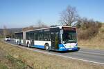 Bus Rheinland-Pfalz: Mercedes-Benz Citaro G (KH-RH 980) der Rudolf Herz GmbH & Co. KG, aufgenommen im März 2022 in der Nähe von Sienhachenbach, einer Ortsgemeinde im Landkreis Birkenfeld.