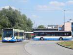 Mercedes Citaro I und Mercedes Citaro II der Rostocker Straßenbahn AG in Rostock im Jahr 2015