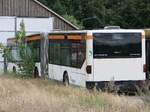 Mercedes Citaro I (ex VVR, exex moBiel GmbH) in Goldenst�dt am 04.08.2024