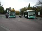 Zwei Busse des SVM in Dörnigheim an 30.10.10