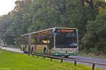 16.09.2014 Brandenburg (Wilhelmsdorf), Sandfurtgraben - Wagen 595 der VBBr auf dem Weg zur Fontanestraße.