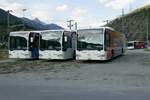 Die 4 Citaro I die beim Ortsbus Brig-Glis ausrangiert wurden, am 17.8.16 vor dem Simplontunnel parkiert.