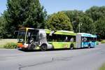 Bus Rheinland-Pfalz / Bus Dierdorf: Mercedes-Benz Citaro Facelift G (ehemals Hamburger Hochbahn AG) der KVG Zickenheiner (Zickenheiner-Gruppe), aufgenommen im Juni 2020 im Stadtgebiet von Dierdorf