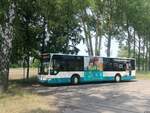 Mercedes Citaro II der Neubrandenburger Verkehrsbetriebe in Neubrandenburg am 28.05.2018