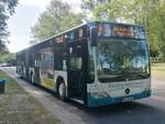 Mercedes Citaro II der Neubrandenburger Verkehrsbetriebe in Neubrandenburg am 02.07.2018