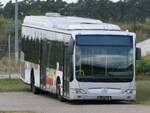Mercedes Citaro II (ex Omnibus Vogel _ MIL-NV 19) in Goldenst�dt am 04.08.2024