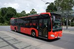 Bus Worms / Verkehrsverbund Rhein-Neckar: Mercedes-Benz Citaro C2 der Rheinpfalzbus GmbH, aufgenommen im Juni 2016 am Hauptbahnhof in Worms.