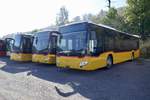 Drei neue MB C2 für PostAuto am 13.10.18 bei Evobus in Kloten abgestellt.