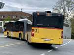 Heck des PostAuto C2 G Euro 5 vom PU Steiner Bus, Ortschwaben  am 3.5.19 beim Einfahren in die Poststation in Bern.
