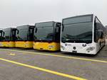 Drei neue C2 für PostAuto und ein neuer C2 für Limmat Bus am 11.11.20 bei Evobus.