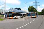 RNV Mercedes Benz Citaro C2 G Wagen 8691 und C1 Facelift 8186 am 23.06.24 in Heidelberg 