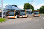 RNV Mercedes Benz Citaro C2 G Wagen 8691, Discipulus C2 Wagen 0652 und C1 Facelift 8186 am 23.06.24 in Heidelberg 