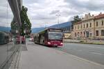 Mercedes-Benz Citaro 2. Generation der Innsbrucker Verkehrsbetriebe (Bus Nr. 433) als Schienensersatzverkehr für die Straßenbahnlinie 1 an der Hst. Westbahnhof in Innsbruck. Aufgenommen 9.7.2025.