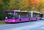 Schienenersatzverkehr RE4x mit dem Mercedes-Benz Citaro C2 G Hybrid, Wg 8692 von Schröder Reisen. Teltow-Stadt im Oktober 2025. /SEV
