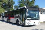 Mercedes Citaro C2 Kasper, Juli 2026