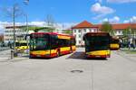 Hanauer Straßenbahn Solaris Urbino 12 Wagen 36 und 22 am 14.04.23 in Hanau Freiheitsplatz