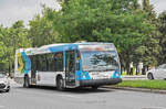 Nova Bus 30-081 von Société de transport de Montreal (STM) ist in Montreal unterwegs. Die Aufnahme stammt vom 20.07.2017.