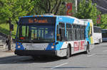 Nova Bus 31-012 von Société de transport de Montreal (STM) ist in Montreal unterwegs.