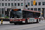 Bus Nr. 8102 der TTC (Toronto Transit Commission) auf der Linie 501 unterwegs in der Stadt Toronto. Die Aufnahme stammt vom 22.07.2017.