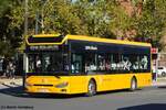 Alfa Bus ECity L 12  Metrobus , Valencia November 2025