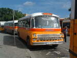 FBY 804  1952 Bedford SB  Debono B40F (1967)  Previous registrations 2482; A-2482; Y-1562; Y-0862; Y-0804    City Gate Terminus, Valletta, Malta, 14th October 2010.